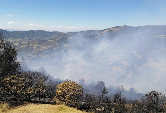 Incendio, Betéitiva, Foresta