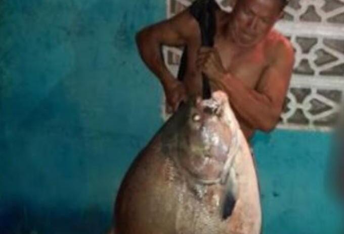 Aun no sabe si la pondrá a la venta