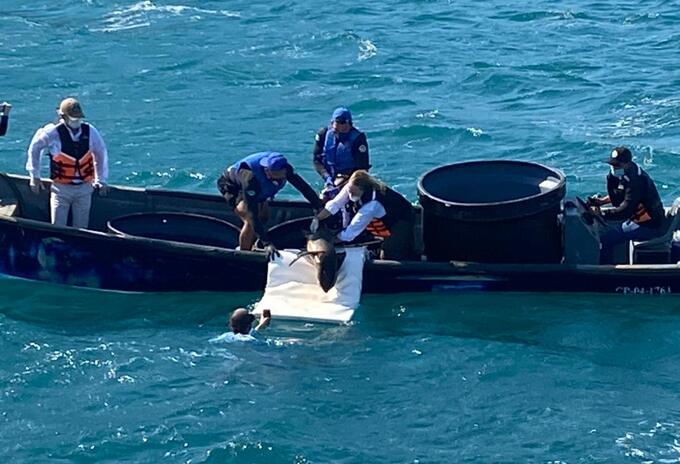 Las autoridades ambientales del Magdalena liberaron en su hábitat a tres tortugas medianas