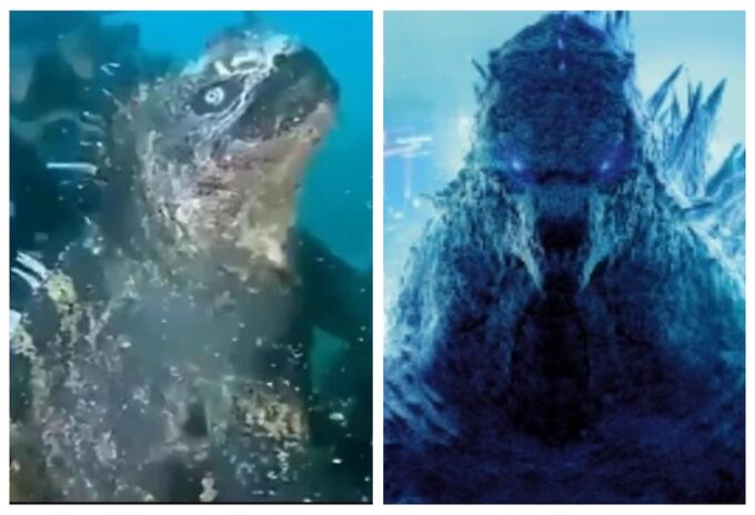Godzilla