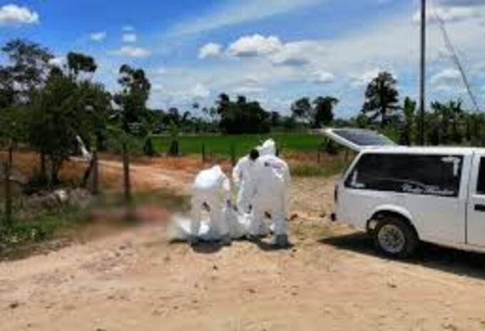 Asesinatos en Tibú