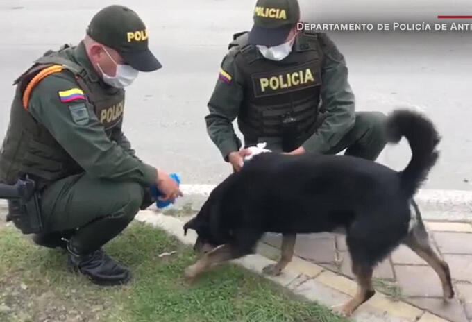 Policía en Norte de Santander