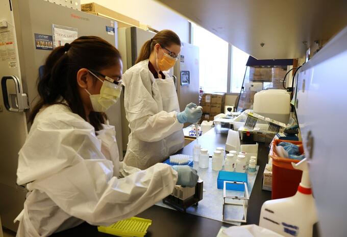 Vacunas laboratorio