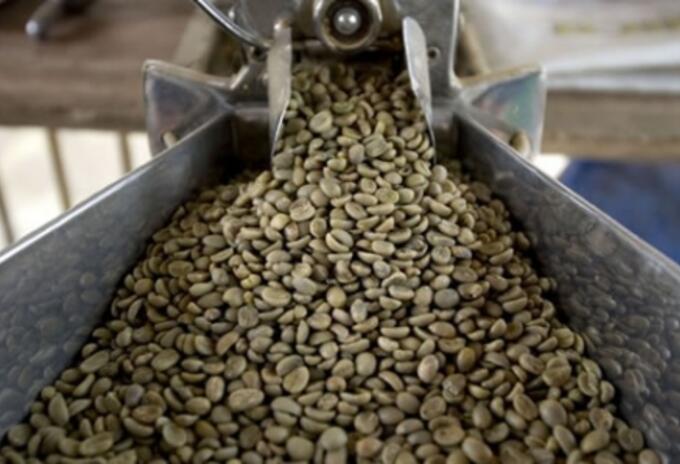 Grano de Café