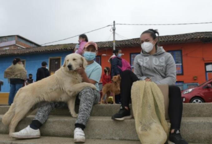 Mascotas perros gatos