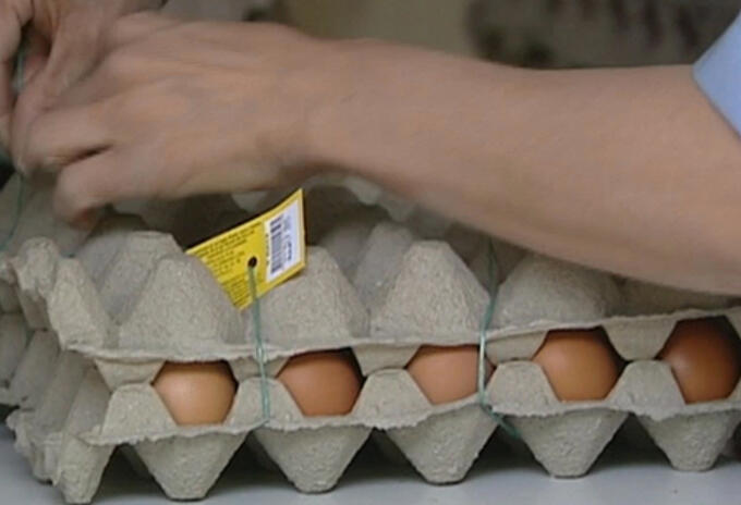 Imagen referencial huevos.