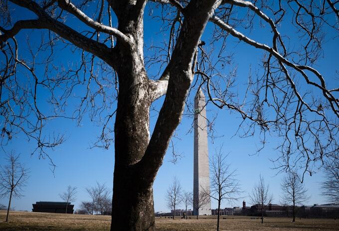 Washington DC