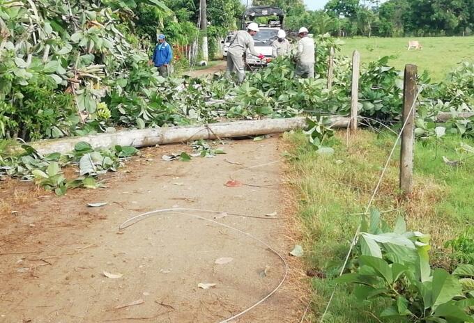 Las fuertes brisas fueron esta mañana