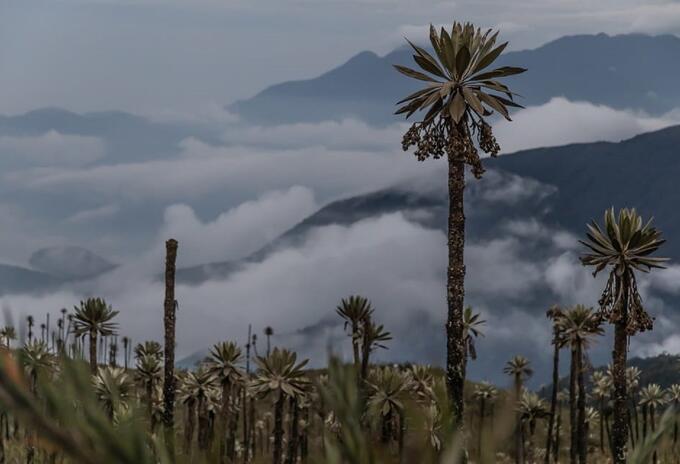 Parque Chingaza en Cundinamarca.