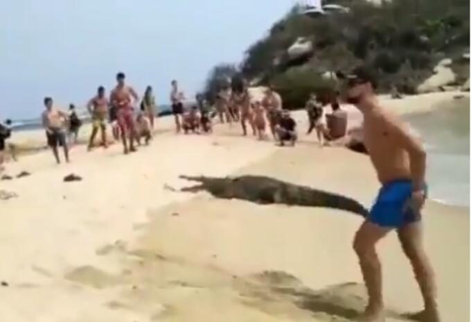Hombre posa cerca a caimán