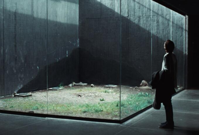 Pelicula Memoria