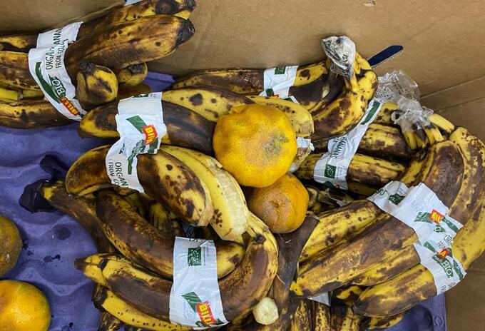 Frutas en mal estado fueron halladas en comedores escolares