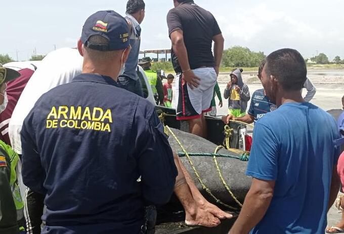 Ataque a manatí 'Julieta'