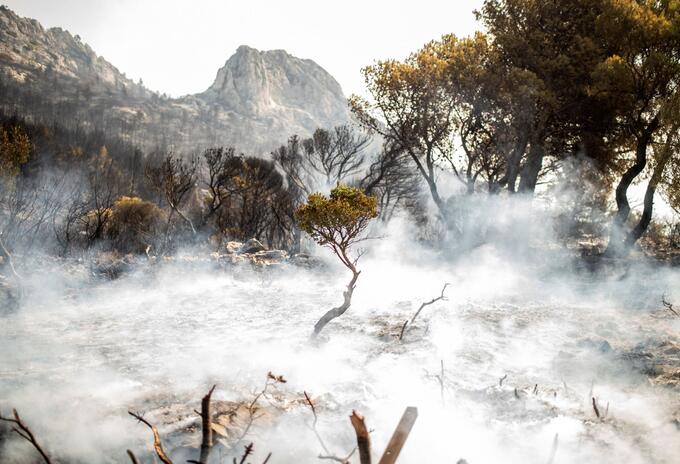 Incendios forestales en Grecia.