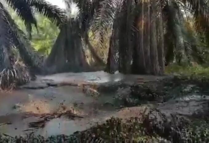 Los pescadores afectados serán indemnizados.