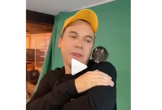 Polilla, humorista Nelson Polanía, tiene de mascota rata negra de cola larga Polilla, humorista Nelson Polanía, tiene de mascota rata negra de cola larga