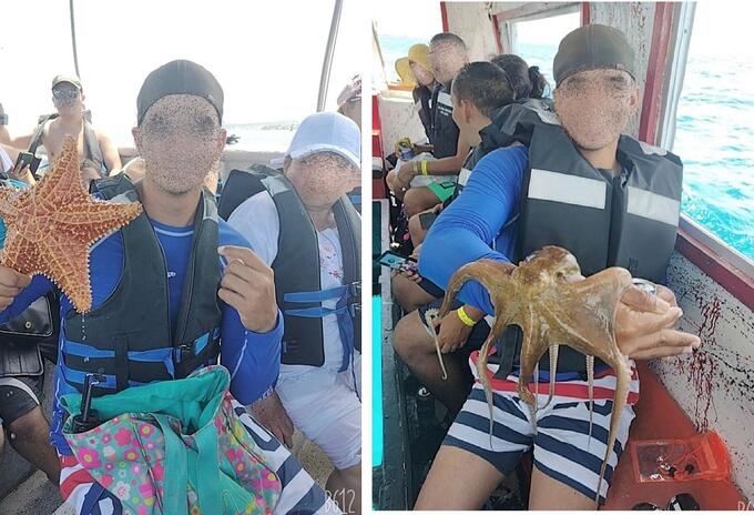 Turistas en isla de San Andrés, manipulando especies marinas.