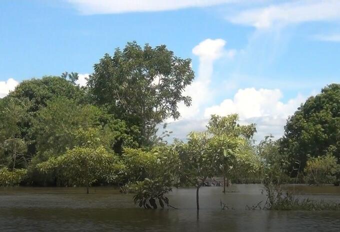 Inundaciones en la región de la Mojana y el San Jorge dejan ya , 74,108 damnificados
