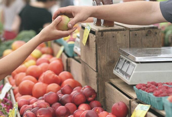 Alimentos
