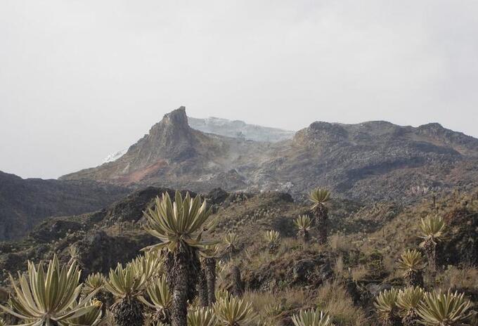 Causas de la muerte de un soldado en el Parque Nacional Natural de los Nevados