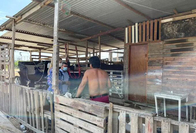 Procuraduría pidió restablecer derechos de menores de edad que viven en las pesebreras de Cartagena