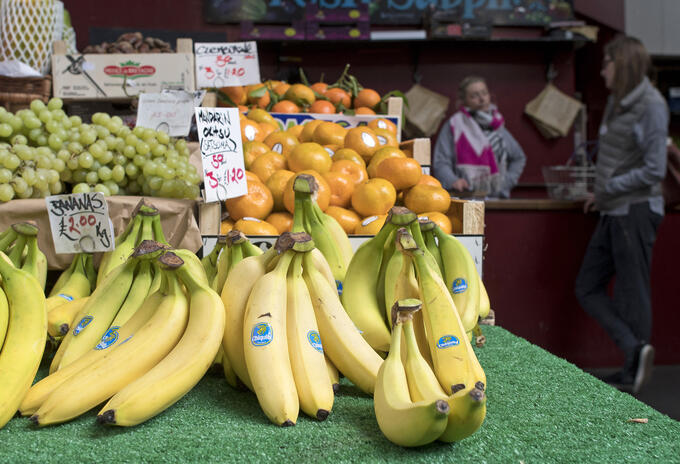 CHIQUITA BRANDS CHIQUITA BRANDS