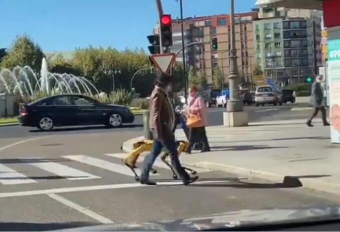 Mujer pasea a perro robot de más de 260 millones de pesos como una mascota
