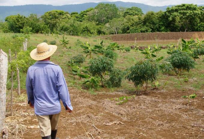 Restitución de tierras en Antioquia (imagen referencial).