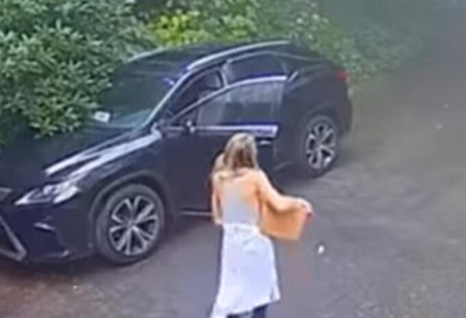Mujer halló oso en su carro Mujer halló oso en su carro