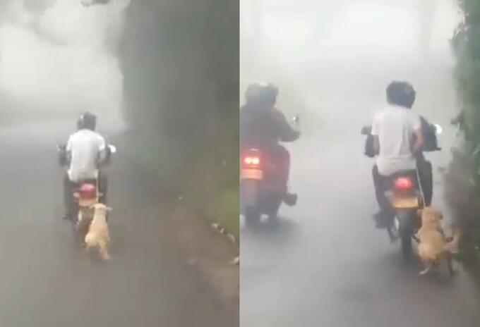 Perro arrastrado por una moto en Risaralda
