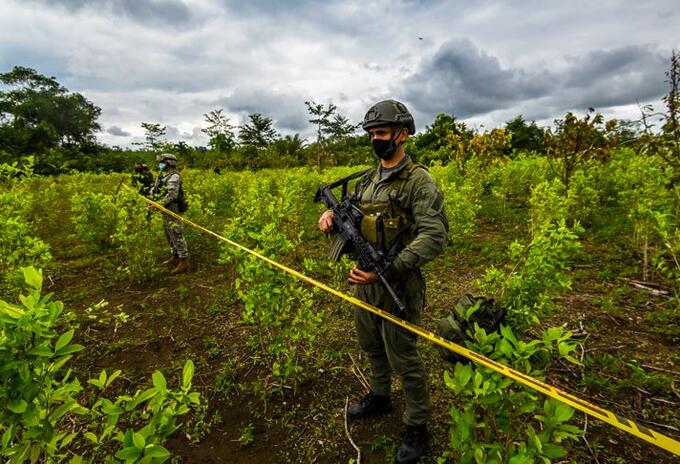 Erradicación de cultivos de coca en Colombia
