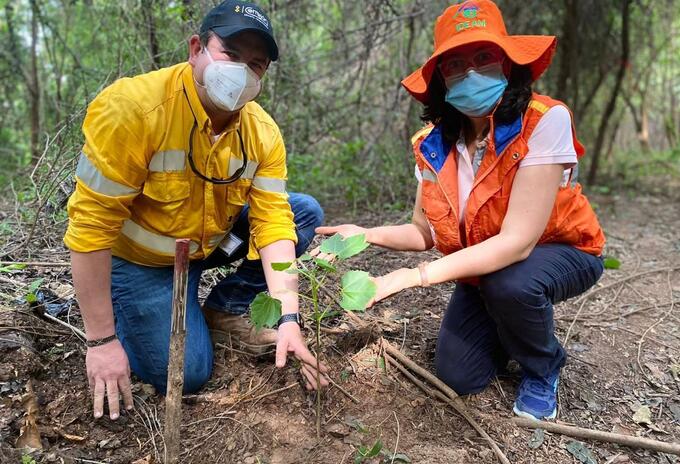 Cerrejón se convirtió en la empresa minera en Colombia que más árboles plantó en 2021