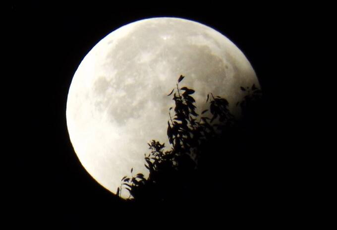 Imagen de referencia de un eclipse lunar Eclipse de luna