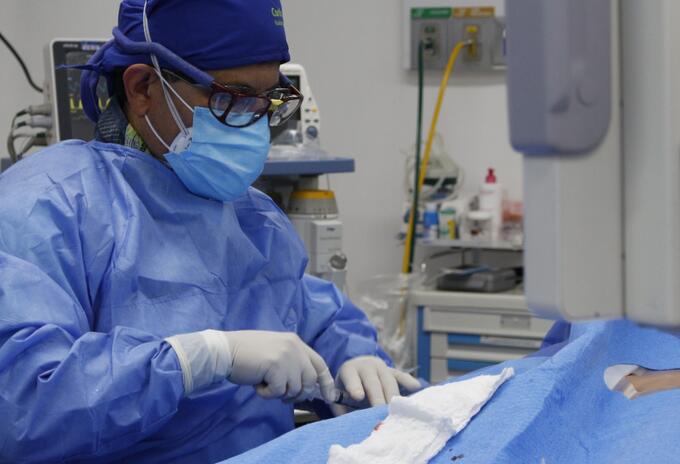 Implante de catéter pulmonar en la FCV