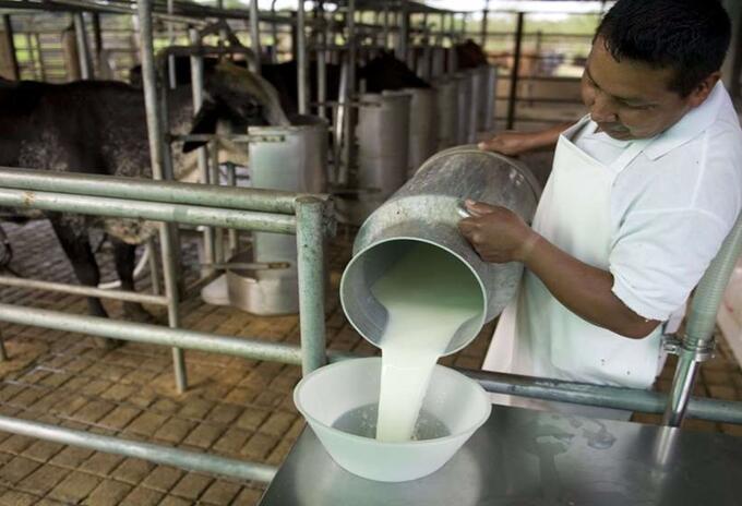 Productores leche