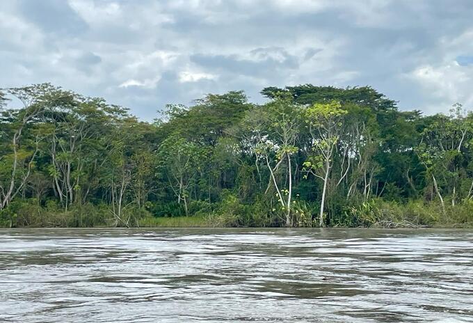 Río Magdalena el testigo directo de la violencia armada en Colombia