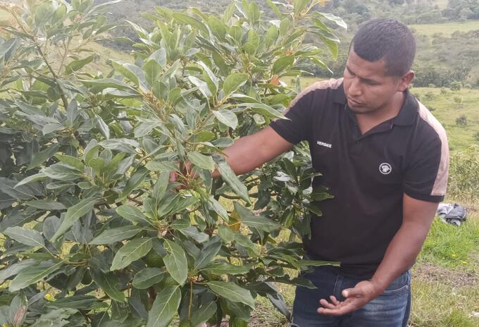 Excombatiente de las Farc