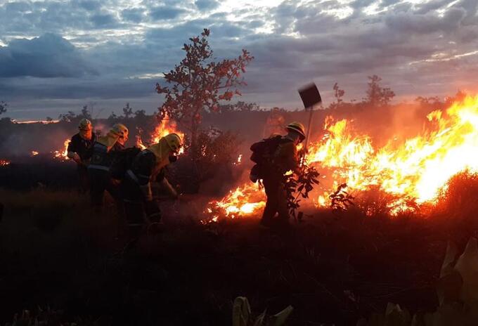 Ejército combate las llamas