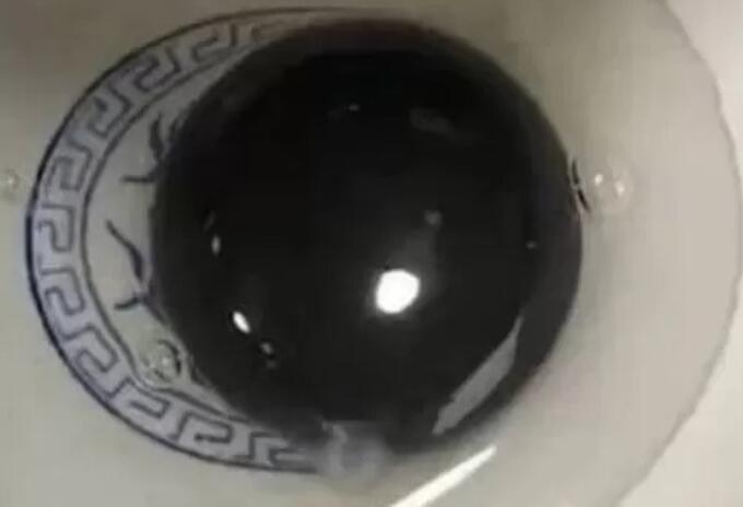 El increíble caso del ganso que pone huevos con yemas de color negro El increíble caso del ganso que pone huevos con yemas de color negro