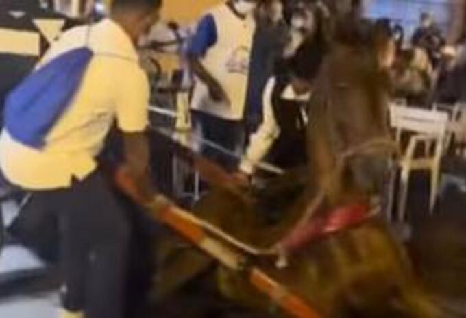 Indignación por nuevo caso de maltrato animal con un caballo en Cartagena