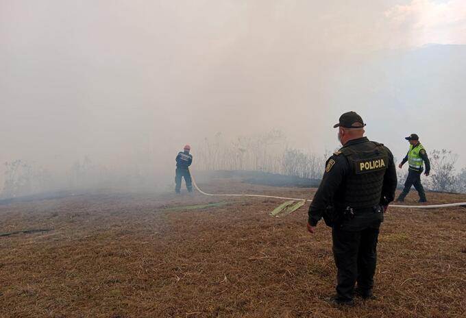 Por lo menos 50 hectáreas de terreno fueron destruidas.