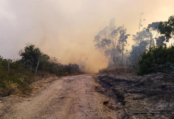 De acuerdo con los bomberos son 15 hectáreas afectadas hasta el momento