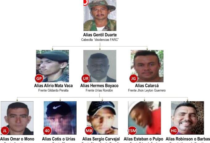 Autor intelectual del crimen de dos patrulleros en Lejanías, Meta
