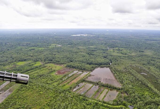 Zona de cultivos ilícitos en Tumaco (Nariño)