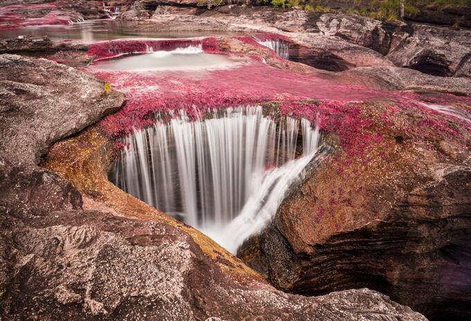 Caño Cristales Meta
