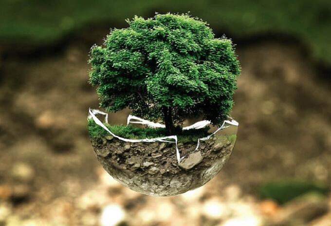 Medio ambiente Medio ambiente
