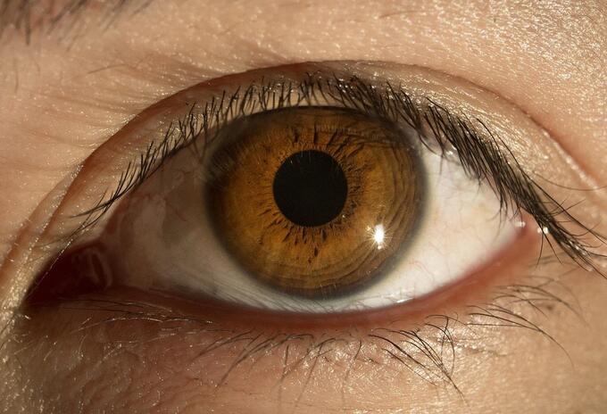 Pupila de ojos Pupila de ojos
