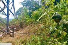 Enfrentamientos armados generan desplazamiento de 22 familias en Anorí