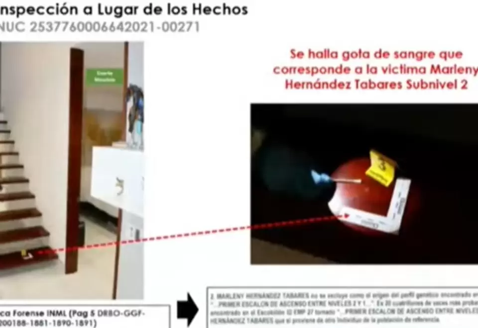 Detalles del homicidio de Mauricio Leal y de Marleny Hernández