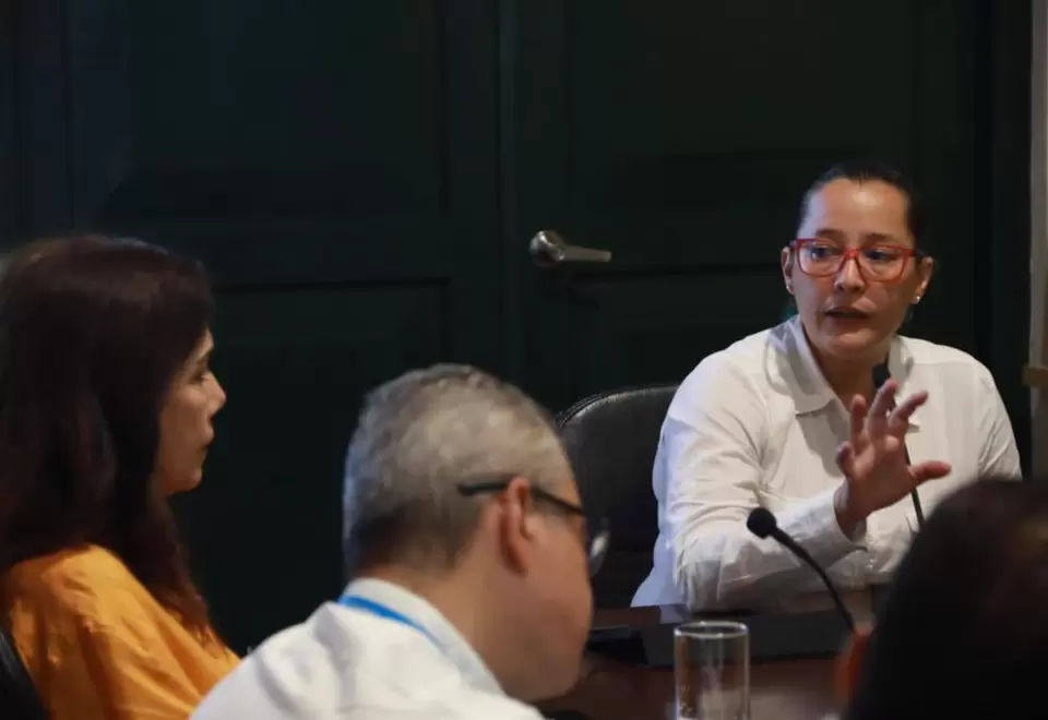 Viceministra de Energía, Belizza Ruiz